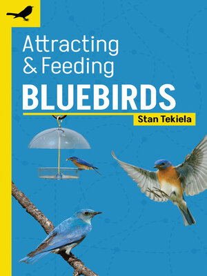 cover image of Attracting & Feeding Bluebirds